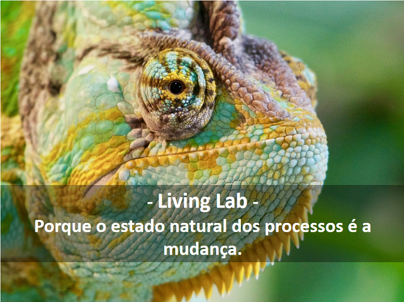 living lab 800